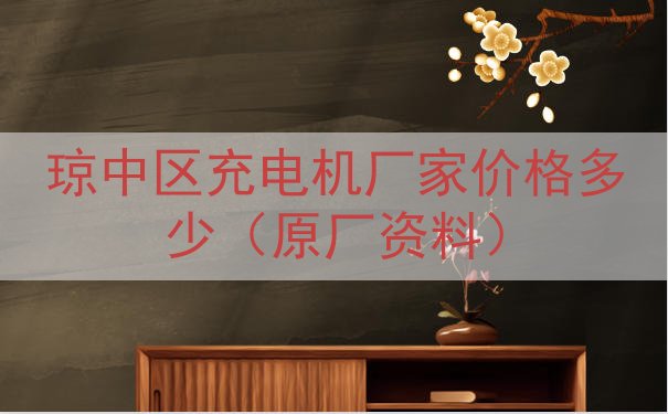 琼中区充电机厂家价格多少（原厂资料）